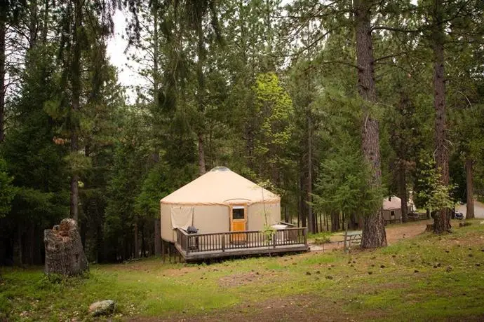 Yosemite Lakes Hillside Yurt 12 