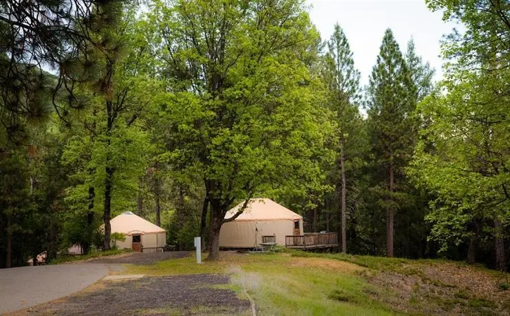 Yosemite Lakes Hillside Yurt 12