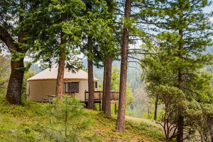 Yosemite Lakes Hillside Yurt 5