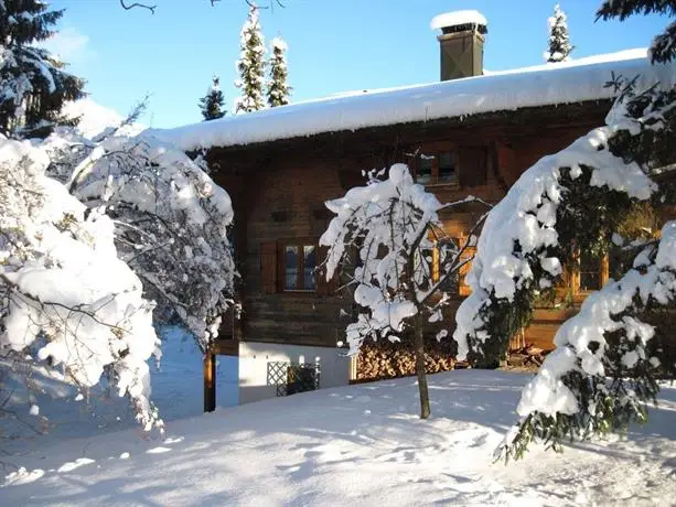 Ferienhaus Hollwart Werfenweng 