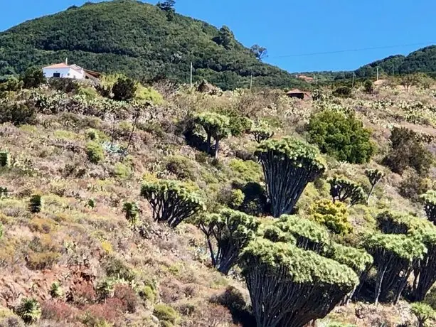 Casa Rural Los Barranquitos