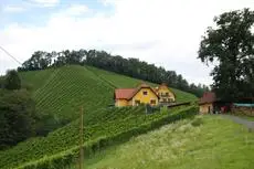 Weingut Gastehaus Otmar Birnstingl 