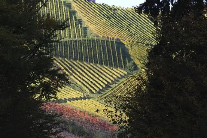 Weingut Gastehaus Otmar Birnstingl