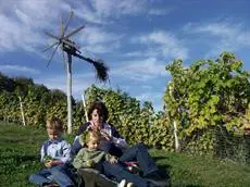 Weingut Gastehaus Otmar Birnstingl 