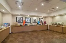 Hampton Inn Chicago North-Loyola Station Il 