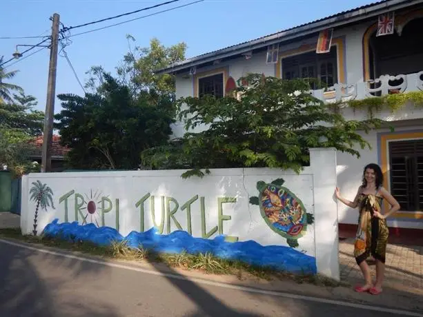 Tropi Turtle Hostel