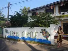 Tropi Turtle Hostel 