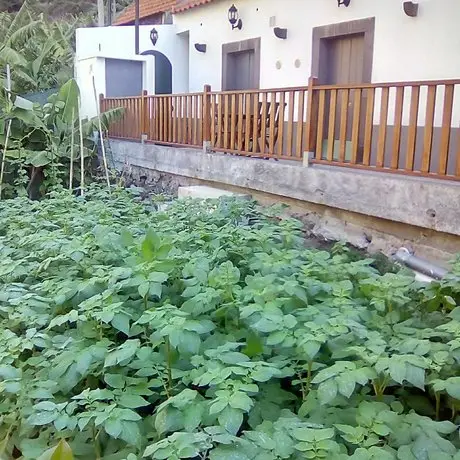 Casa Da Faja Camara de Lobos