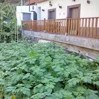 Casa Da Faja Camara de Lobos 