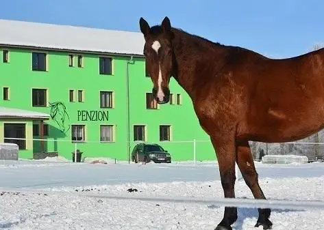 Pension Jezdecke centrum Kocik