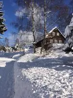 Timbered House In Jizerske Hory 