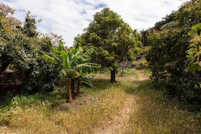 La Casa del Aguacate Avocado House