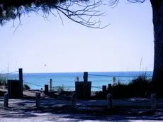 The Anna Maria Island Beach Breeze 