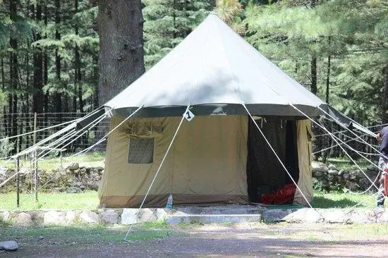 Kasol Camps