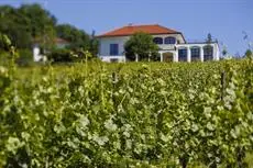 Weingut Hirschmugl - Domaene am Seggauberg 