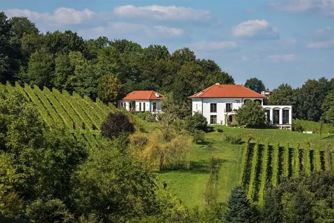 Weingut Hirschmugl - Domaene am Seggauberg 