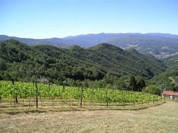 La Vigna di San Pietro 