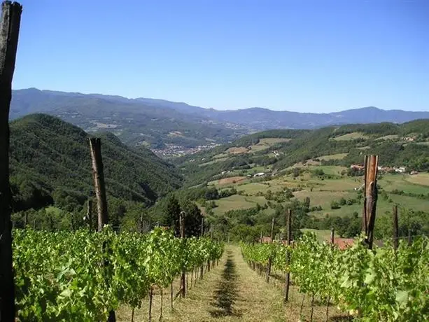 La Vigna di San Pietro 