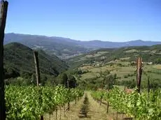 La Vigna di San Pietro 