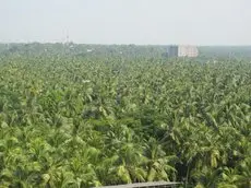 Kannur Beach Nest 