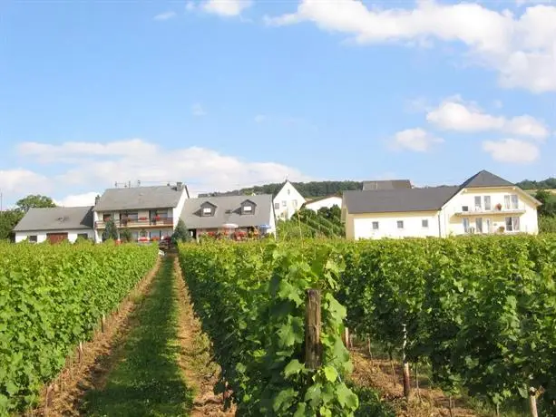 Pension und Weingut Moselblick