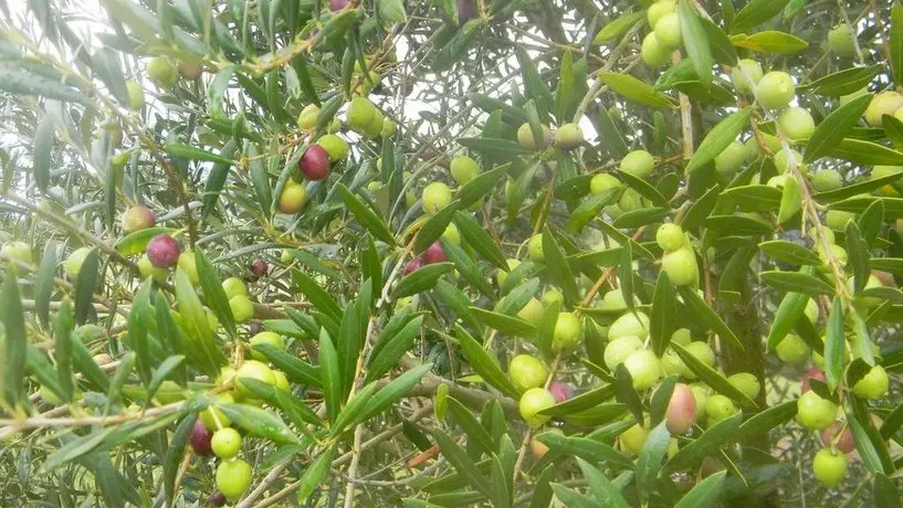 Refugios De Jose Ignacio 