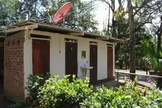 Homestay - Thrue Family Hostel Homestay B&B 