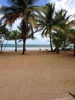 Beach Front Apartment Rio Mar Puerto Rico 