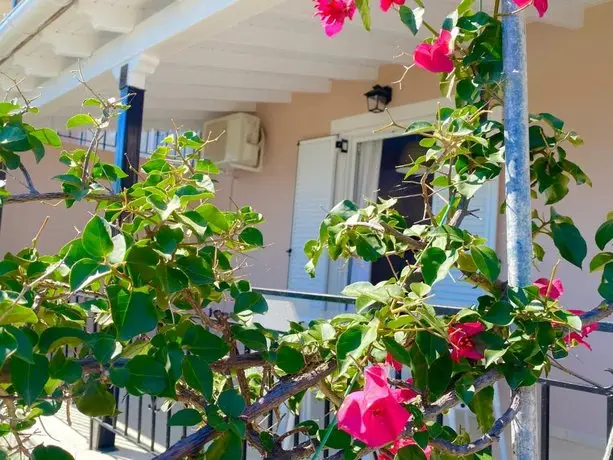 Nissaki Apartments and Vasilis House 