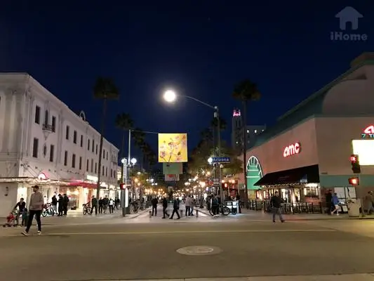 Beautiful Sunset in Santa Monica Beach 4