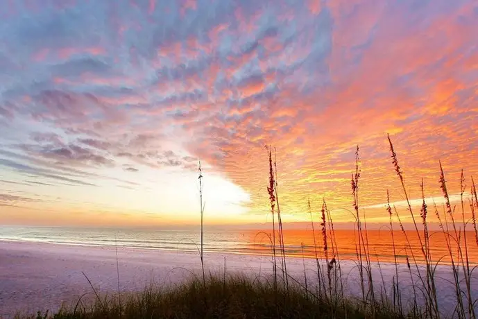 Sea Shell Chateau by Beachside Management 