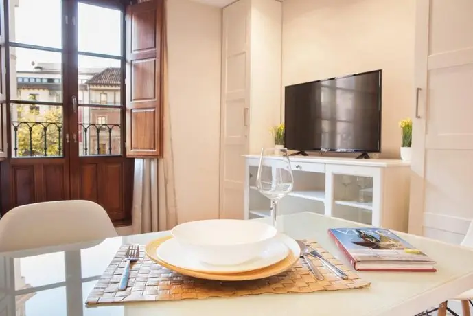 Apartamentos Boutique Salamanca 