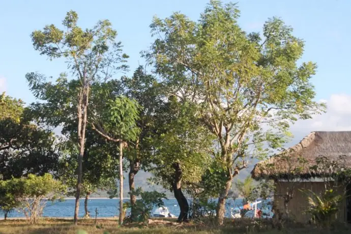 Avatar Raja Bungalow Gili Asahan