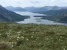 Woodland Cabins Glencoe 