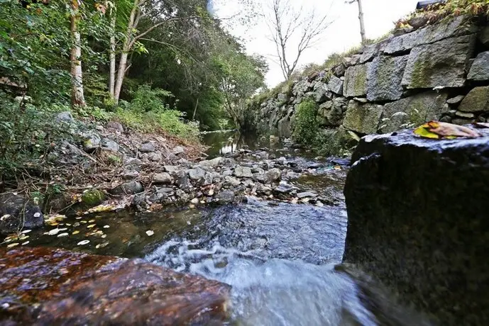 YangPyeong Mountain Story Pension 