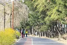 Gangneung Ten Thirty Pension 