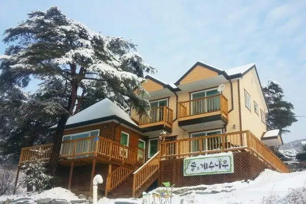 Gangneung Pine & Cinnamon Tree Pension