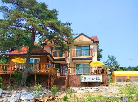 Gangneung Pine & Cinnamon Tree Pension