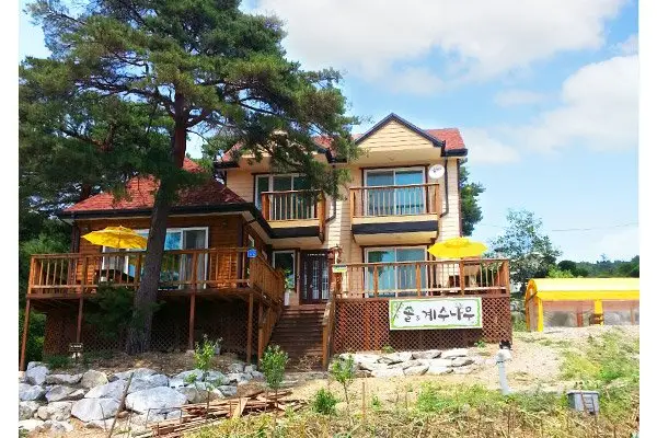 Gangneung Pine & Cinnamon Tree Pension