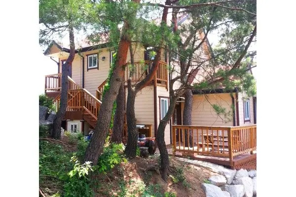 Gangneung Pine & Cinnamon Tree Pension