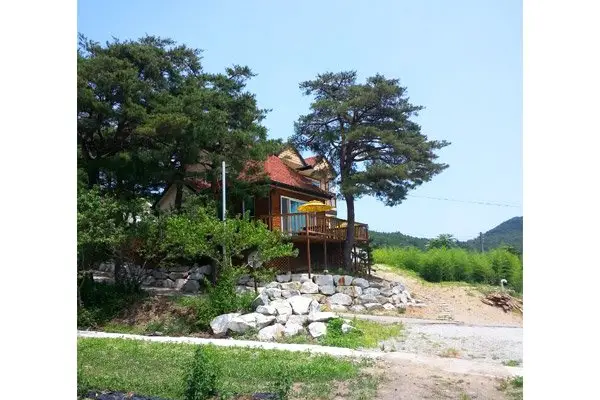 Gangneung Pine & Cinnamon Tree Pension 