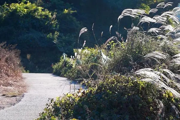 Gyeongju Forest Garden Pension 