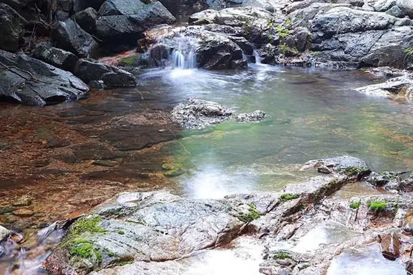 Gyeongju Forest Garden Pension 