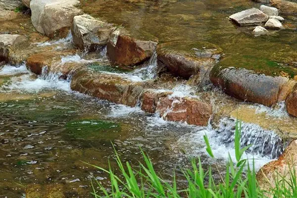 Gyeongju Forest Garden Pension 