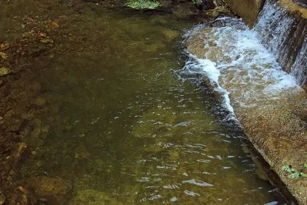 Gyeongju Forest Garden Pension 