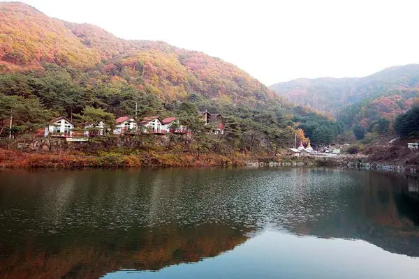 Yangpyeong Dotorigol Pension