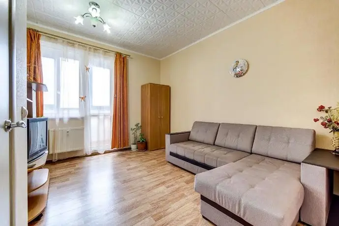 Apartment on Devyatkino