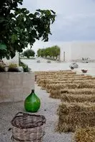 Masseria Fontana di Vite 