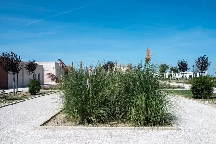 Masseria Fontana di Vite 