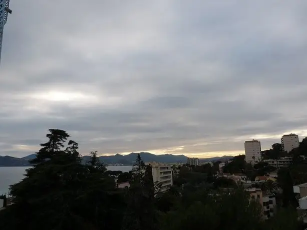 Midi Terrace 